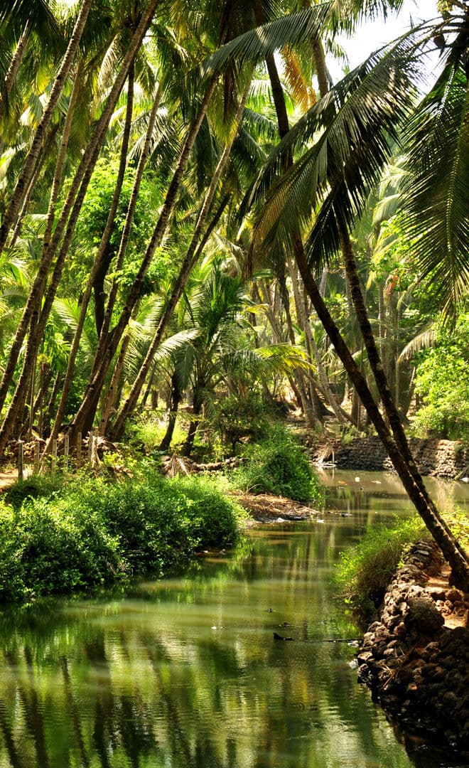 Goa et l'environnement