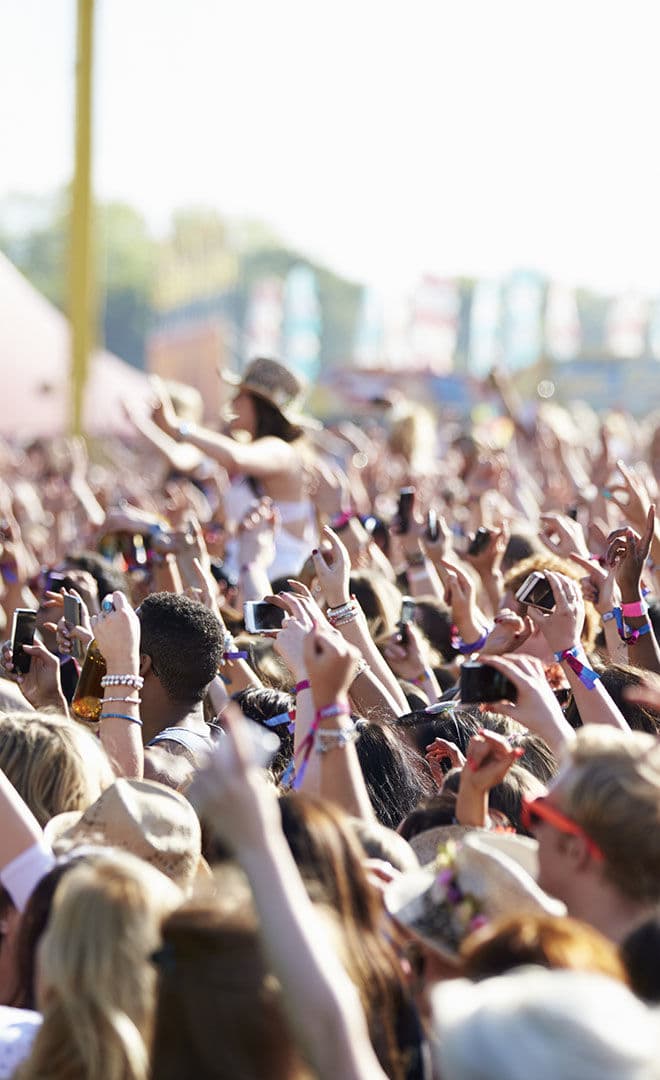 MS Dockville
