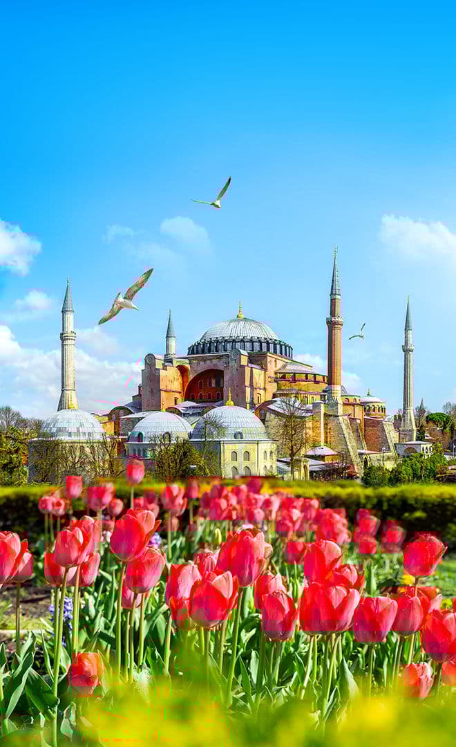 Istanbul et l'environnement