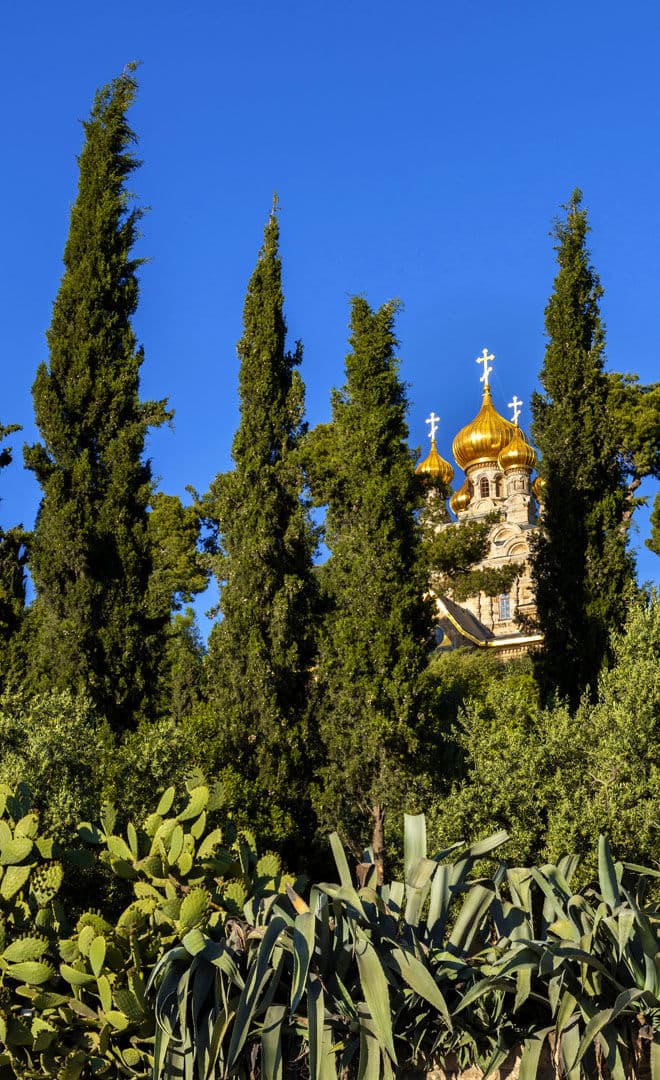 Jerusalem et l'environnement