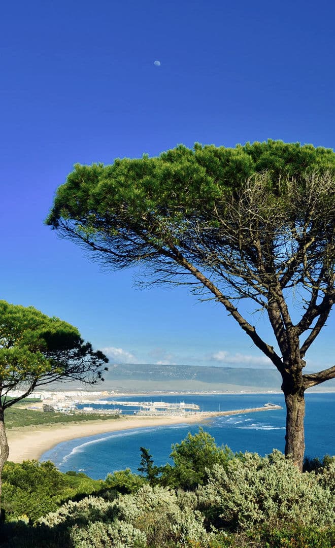 Marbella et l'environnement