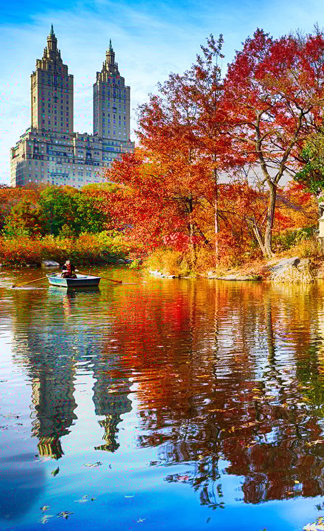 New York et l'environnement
