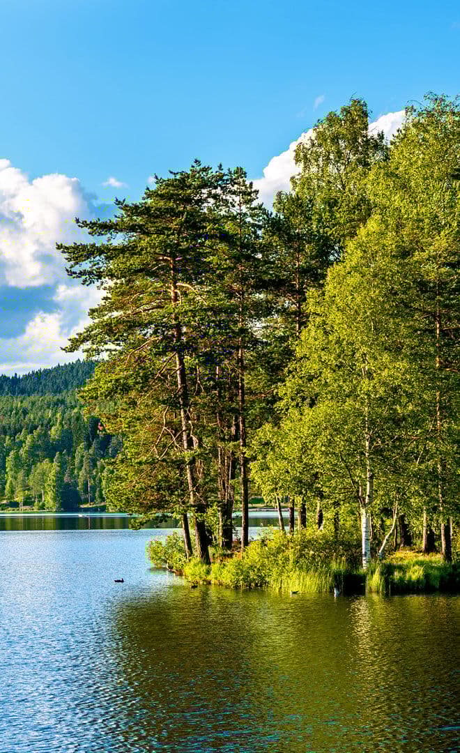 Oslo et l'environnement