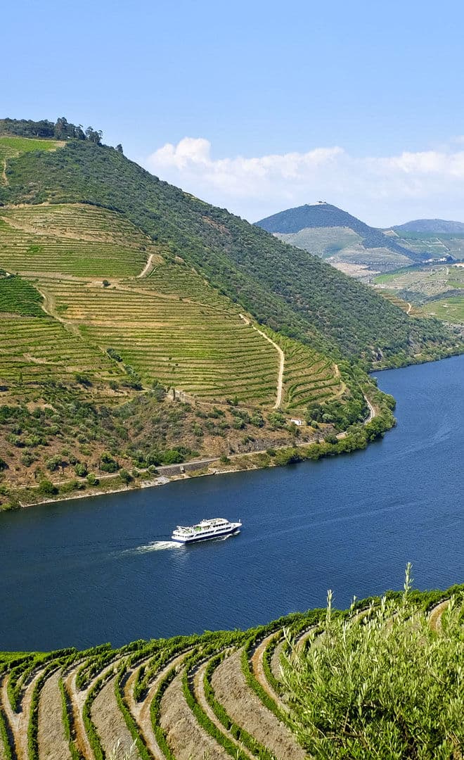 Porto et l'environnement