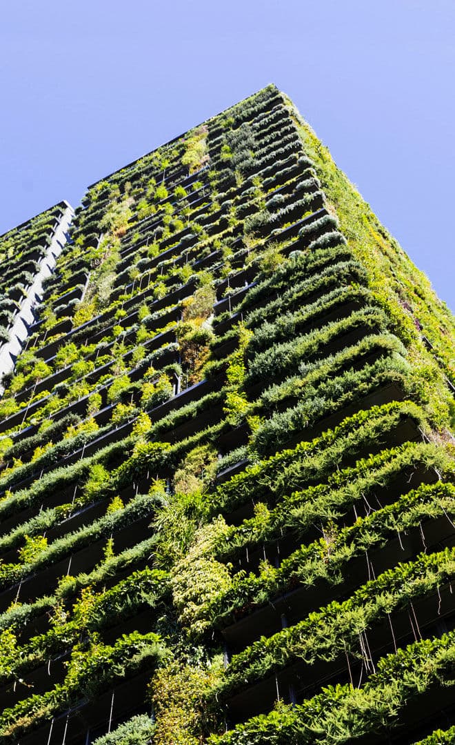 Sydney et l'environnement