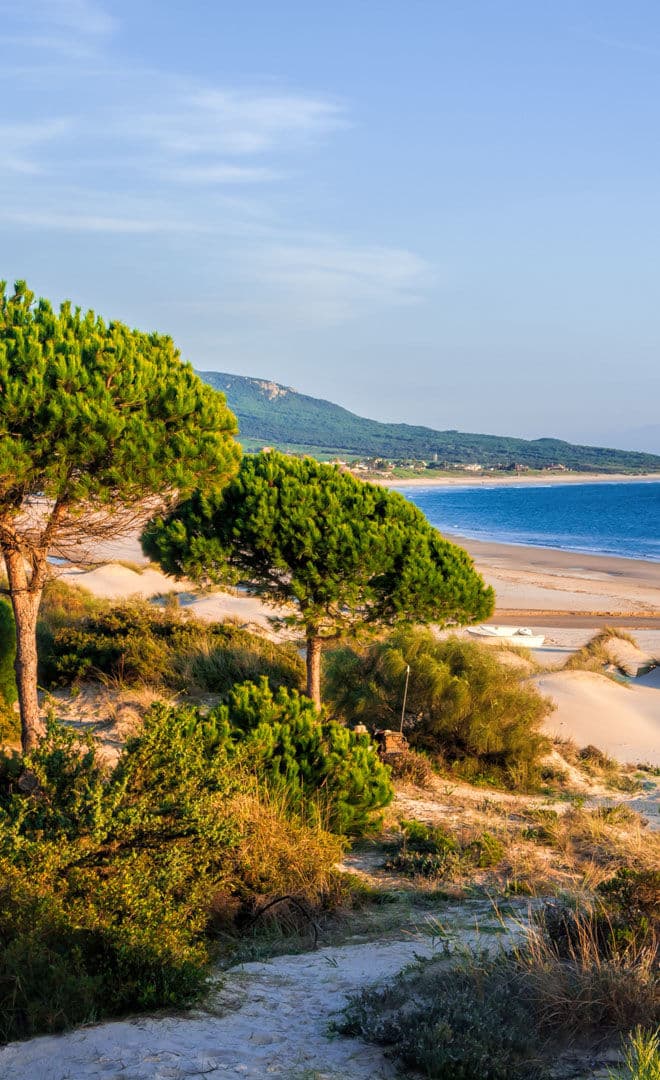 Tarifa et l'environnement