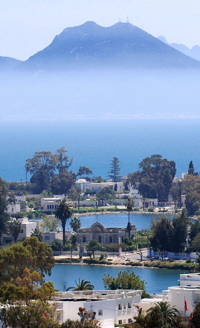 Tunis et l'environnement