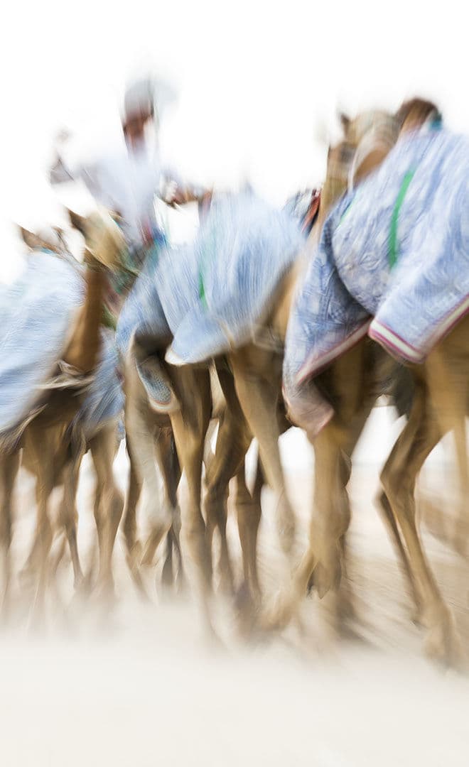 Le festival de Sweihan