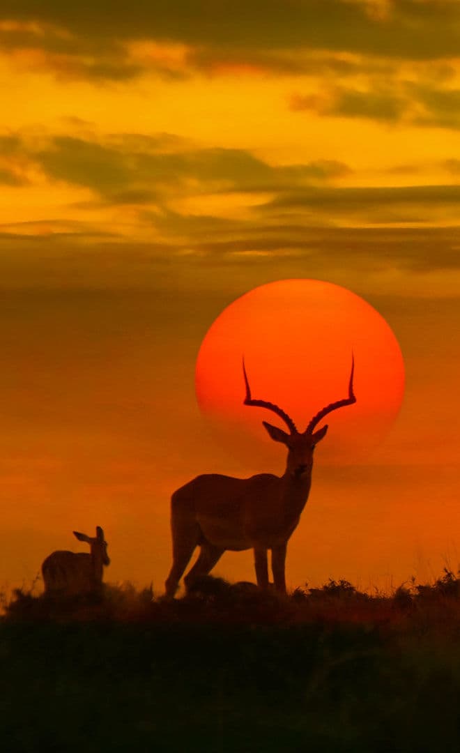 L'Afrique du Sud et l'environnement