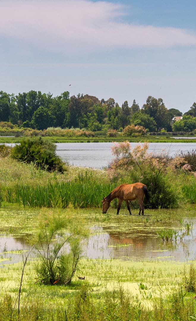 L'Andalousie et l'environnement
