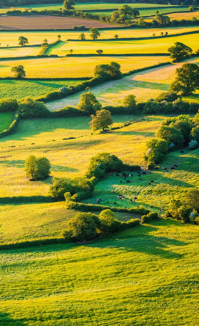 L'Angleterre et l'environnement