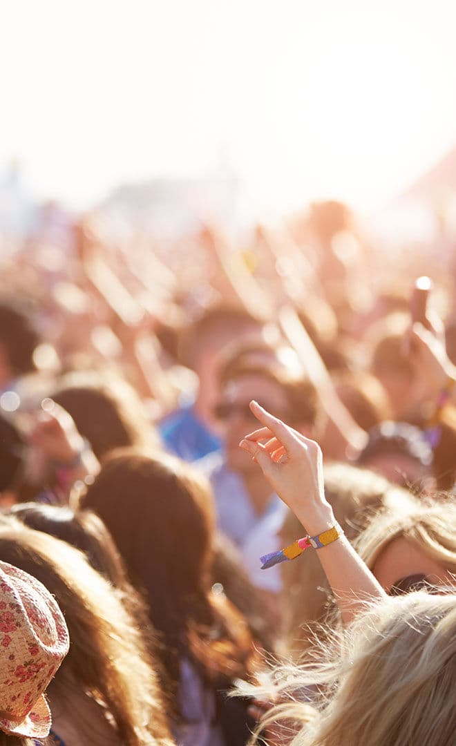 Les Vieilles Charrues