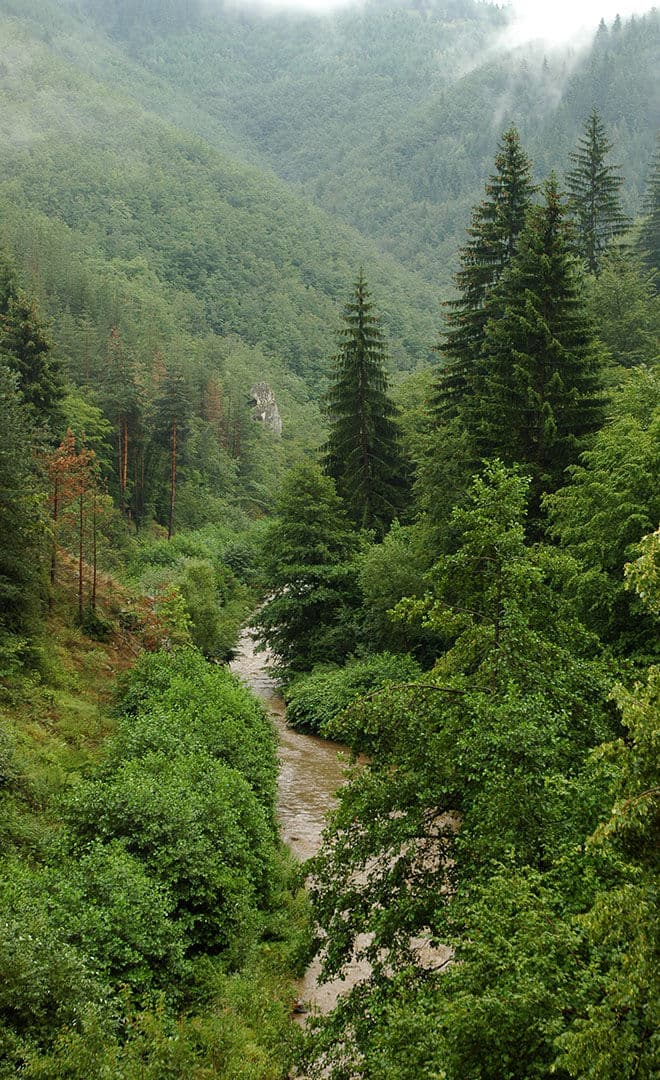 La Bulgarie et l'environnement
