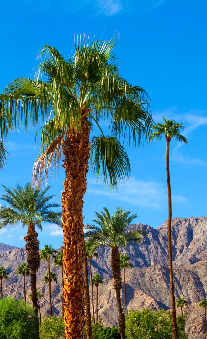 La Californie et l'environnement
