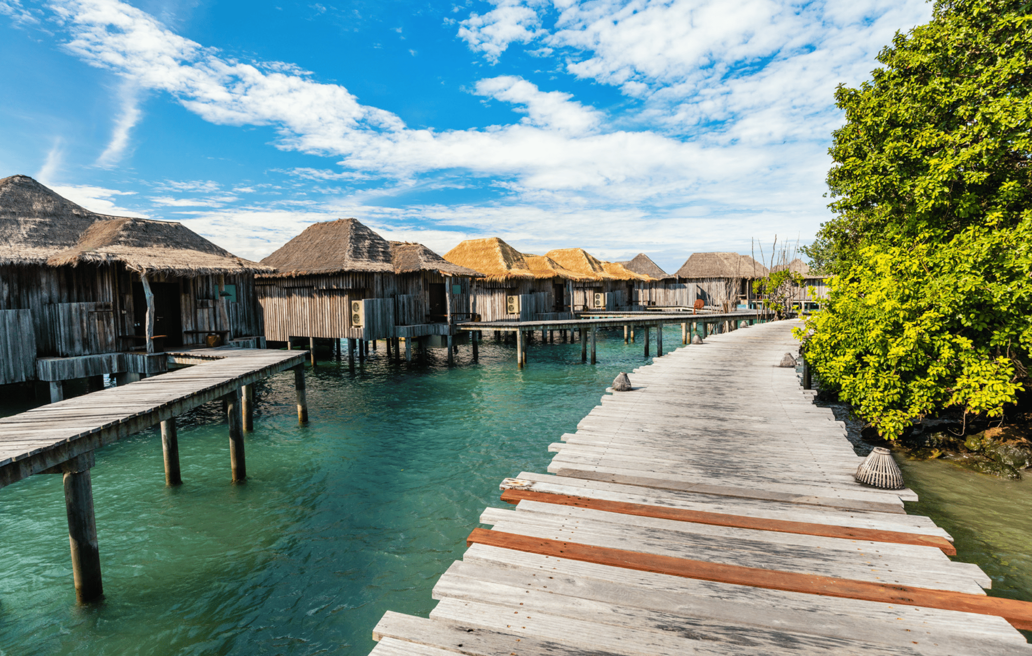 Le Cambodge et l'environnement