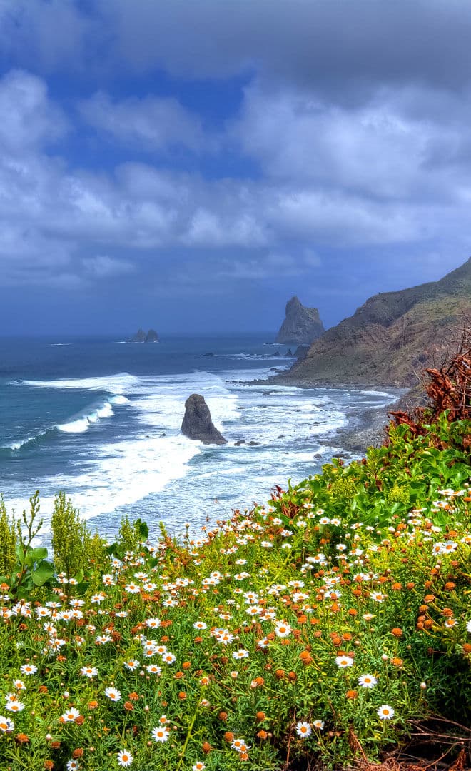 Les Canaries et l'environnement