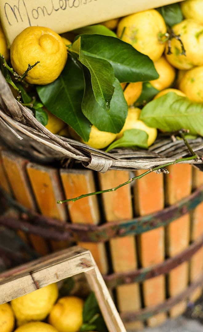 Les événements à ne pas manquer : « Sagra dei limoni »