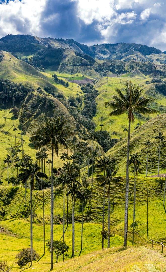 La Colombie et l'environnement