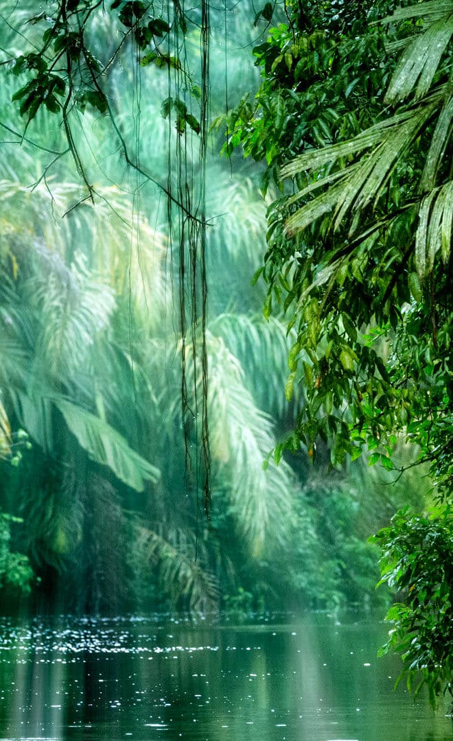 Le Costa Rica et l'environnement