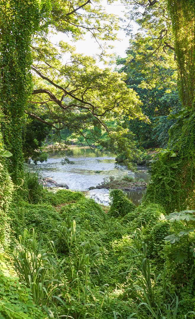 Cuba et l'environnement