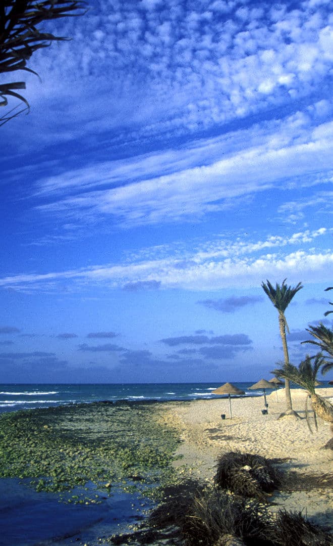 Djerba et l'environnement
