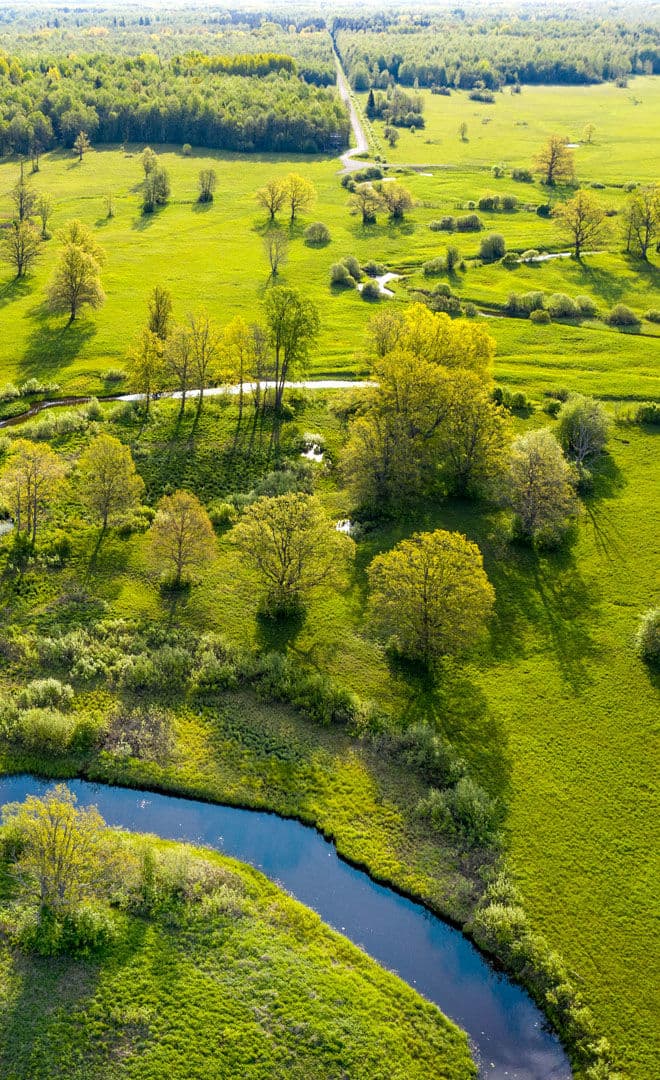 L’Estonie et l'environnement