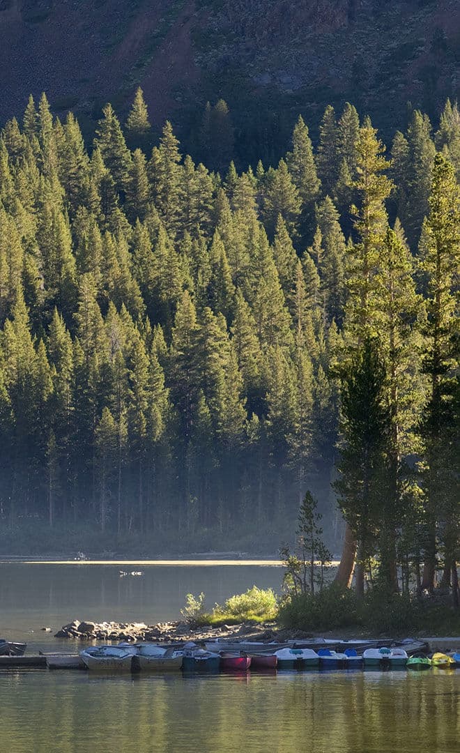 Les Etats-Unis et l'environnement