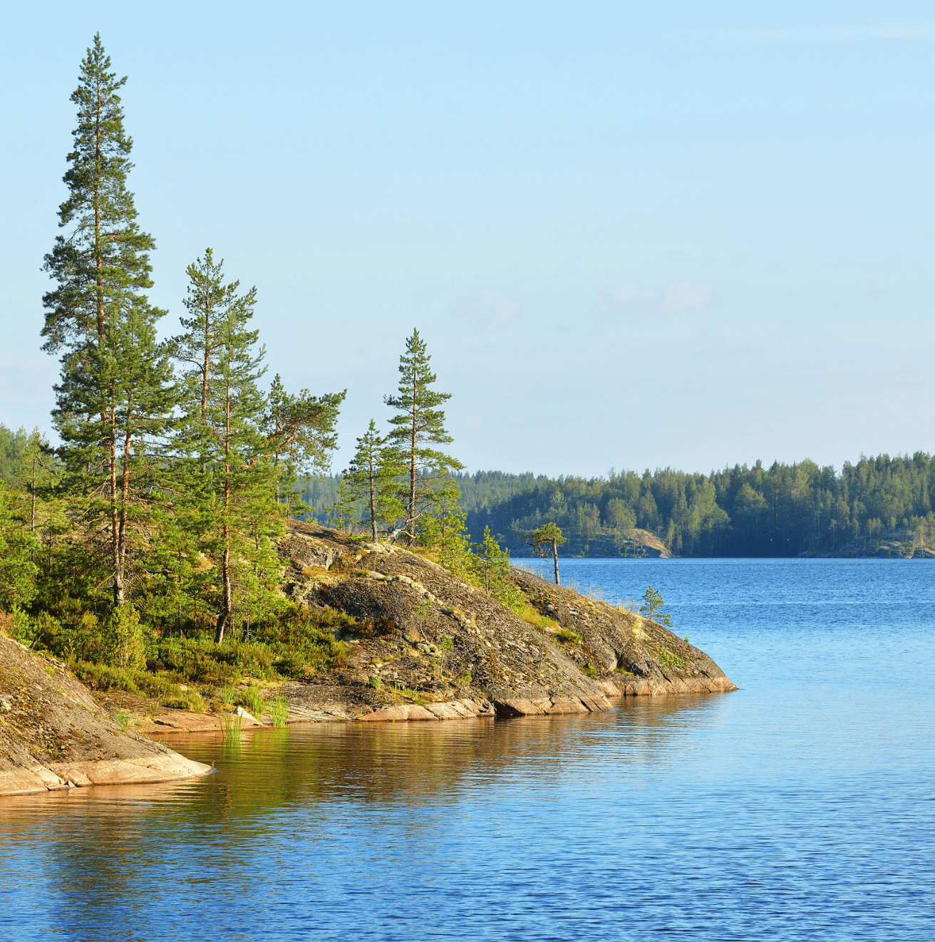 La Région des Lacs et l'environnement