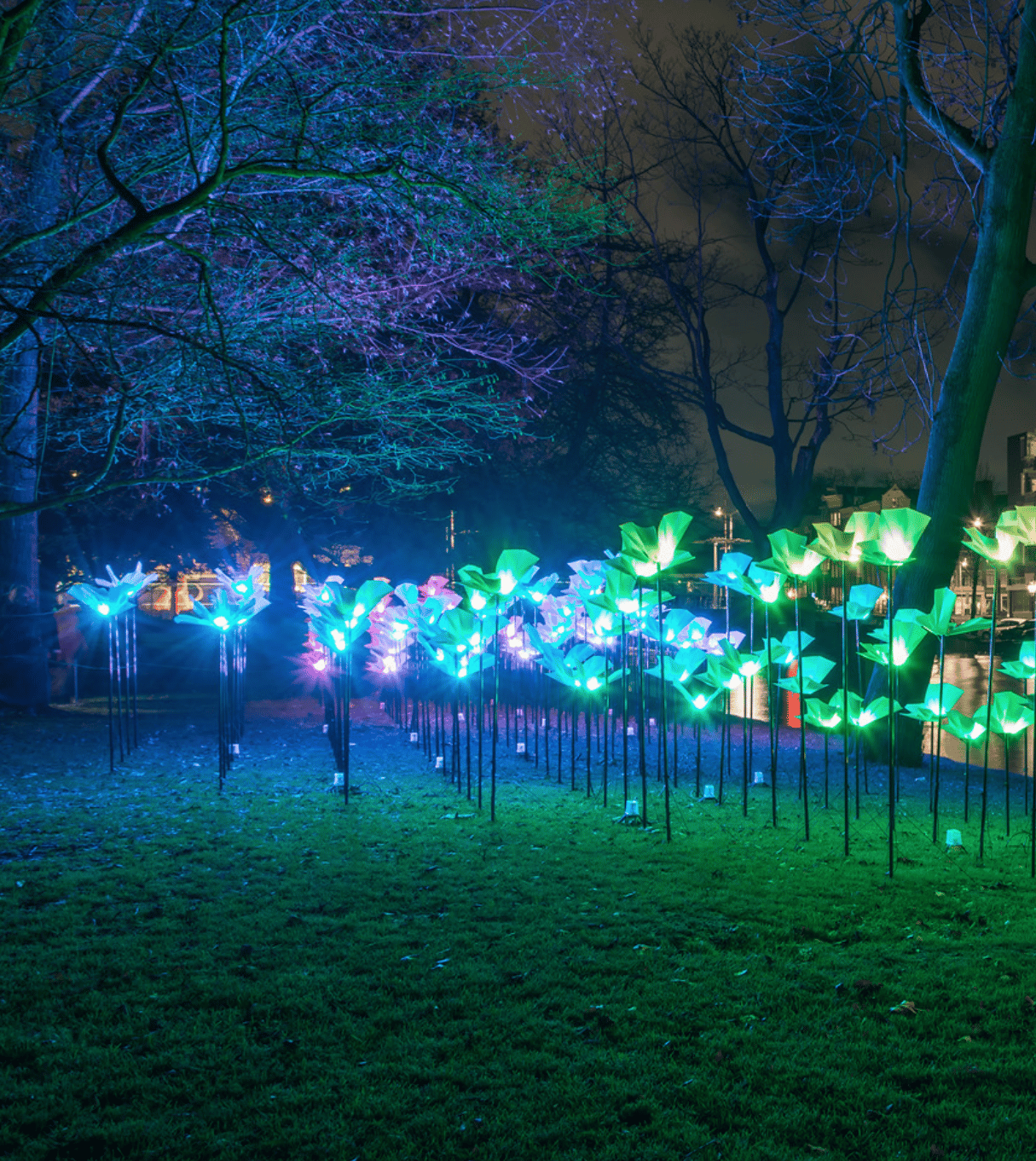 La Fête des Lumières dans la région de Jyväskylä