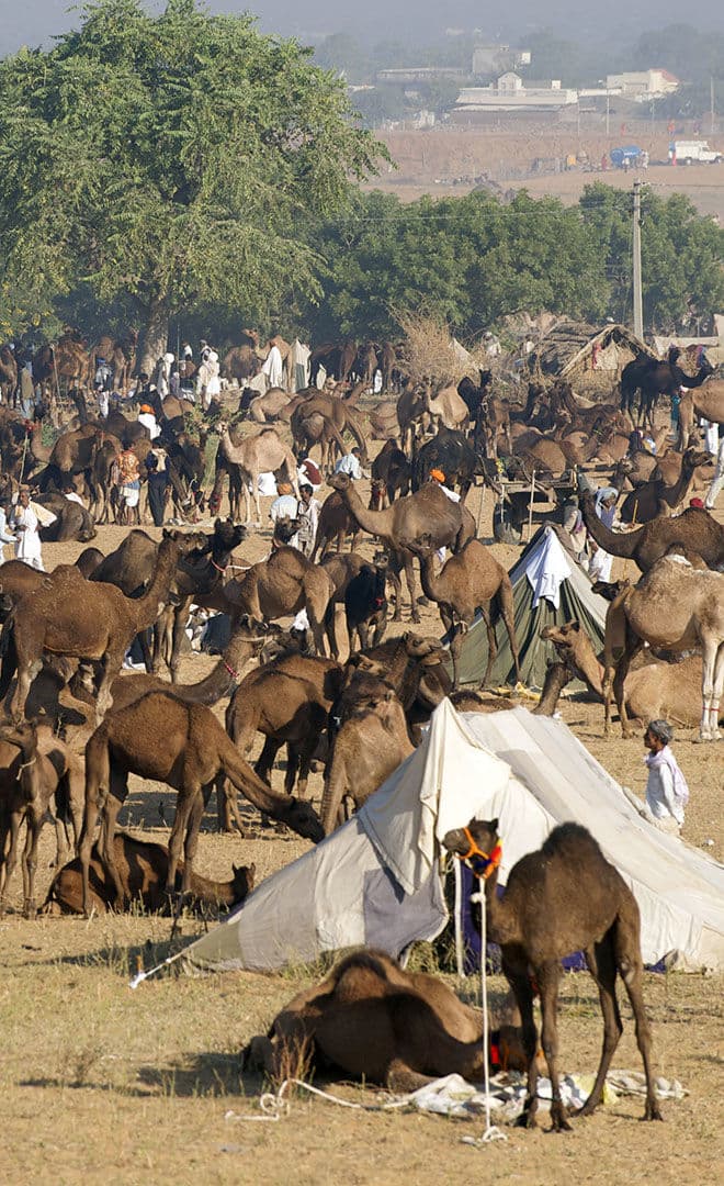 Inde_01.jpg