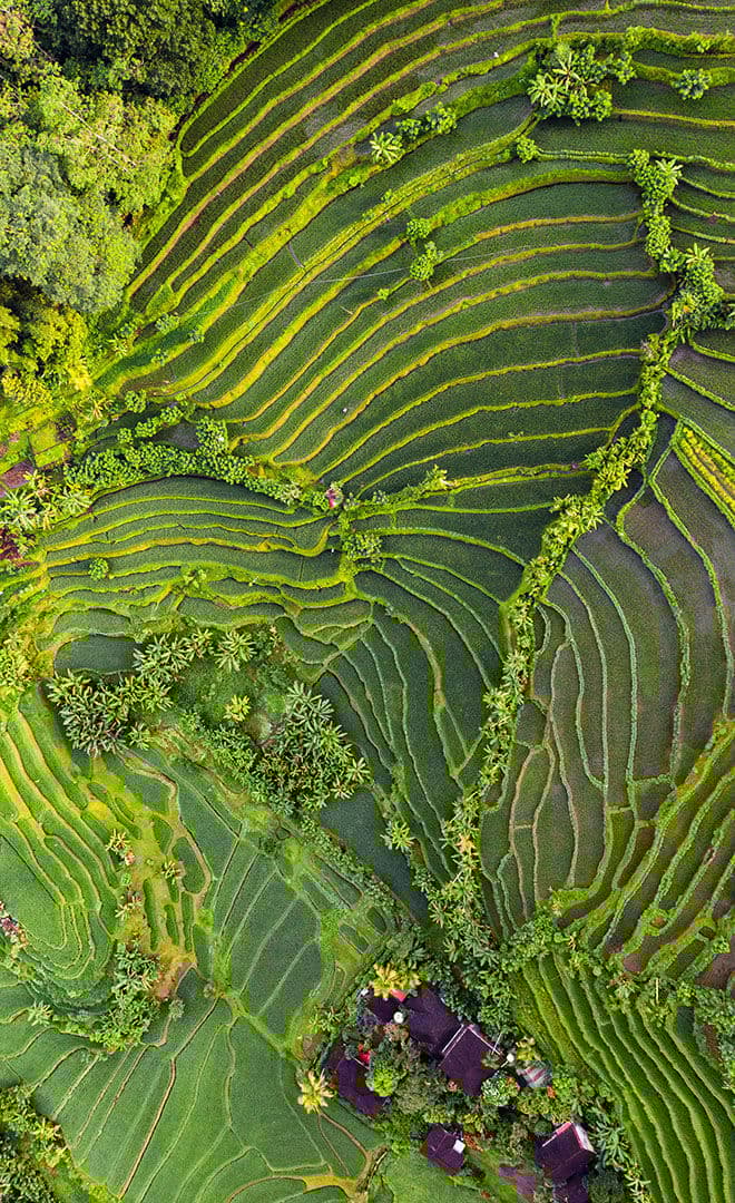L'Indonésie et l'environnement