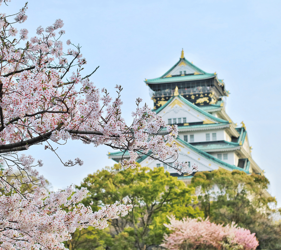 Le Japon et l'environnement