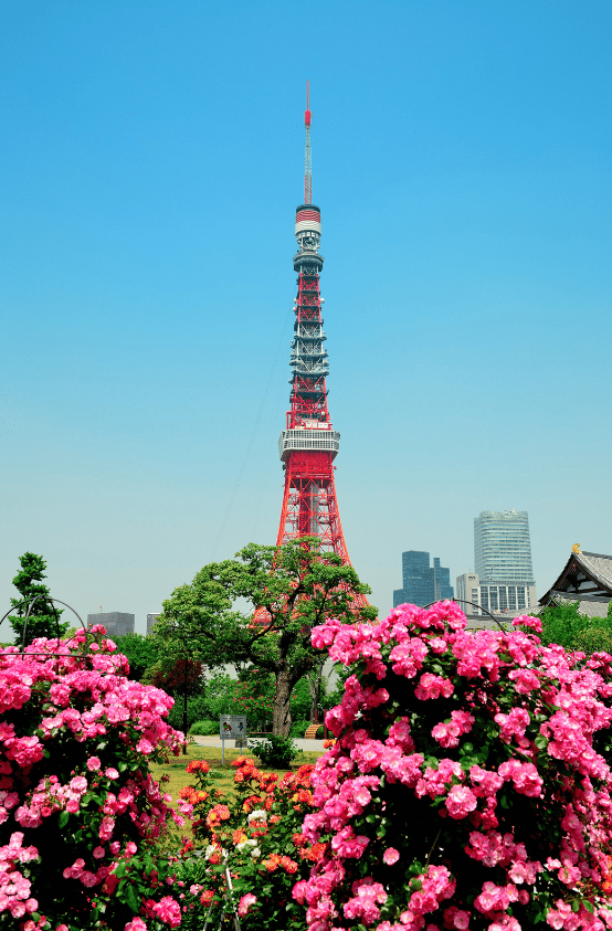 Tokyo et l'environnement