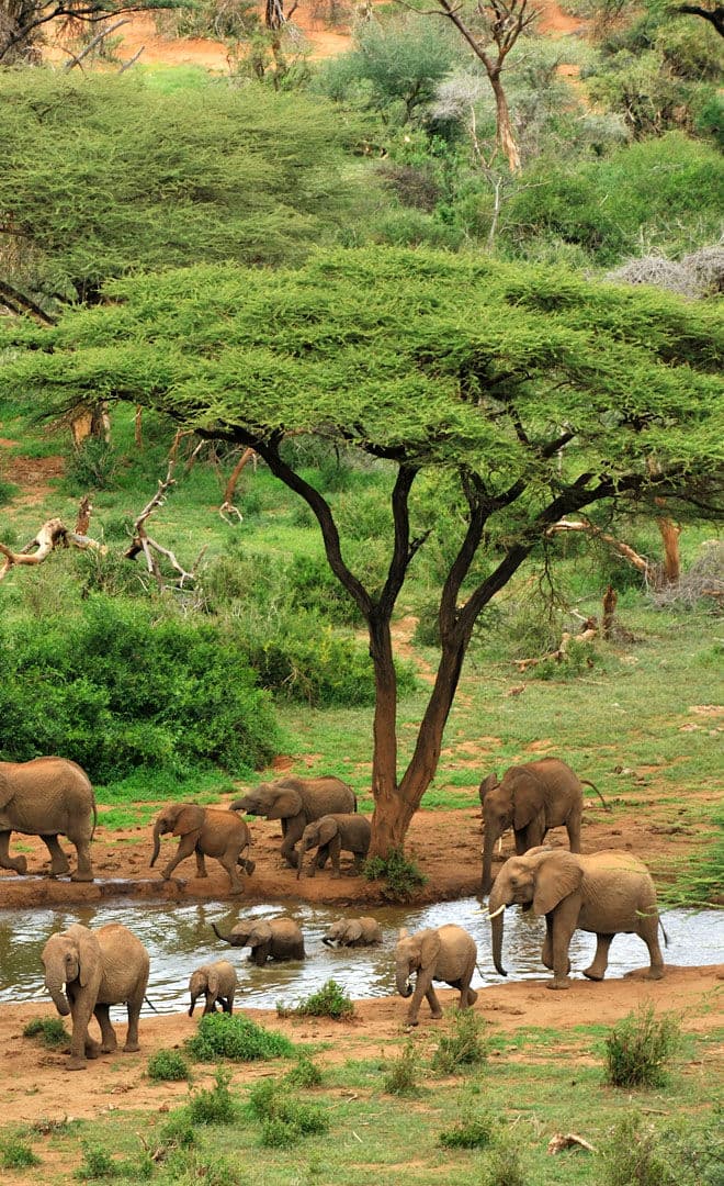 Le Kenya et l'environnement