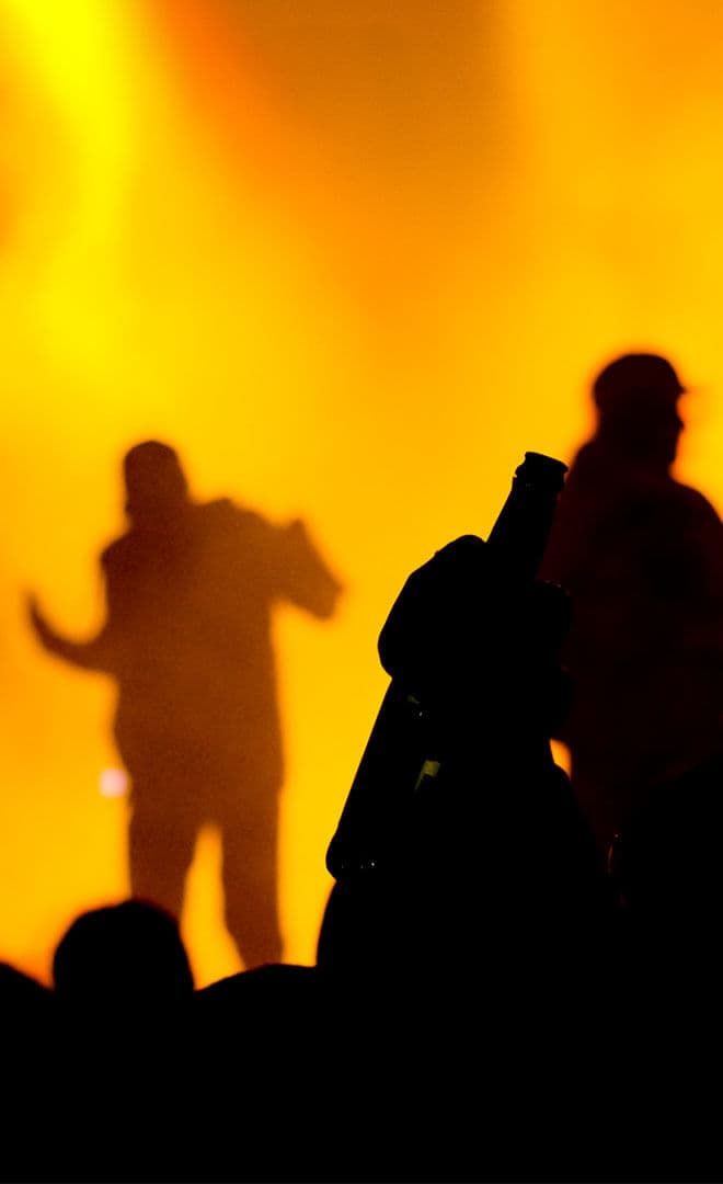Le Festival Papillons de Lumières