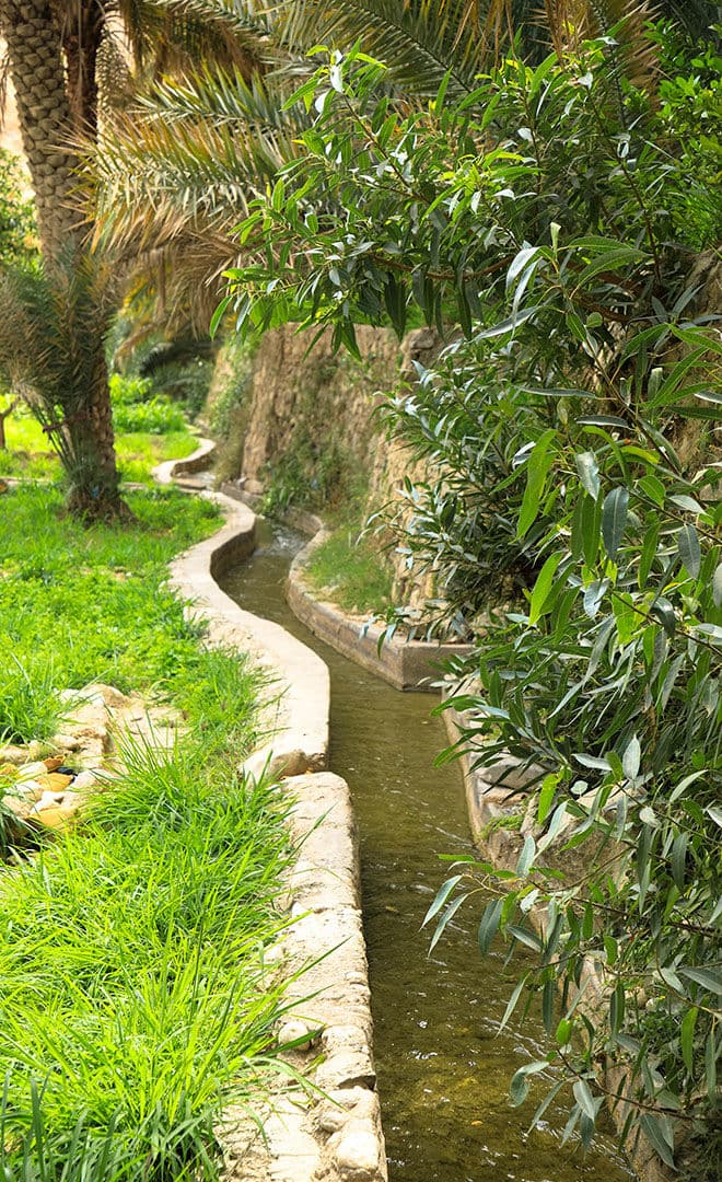 Oman et l’environnement