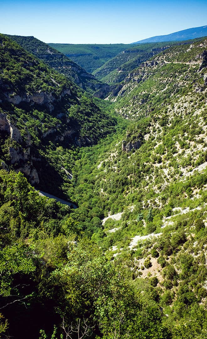 Les gorges de la Nesque
