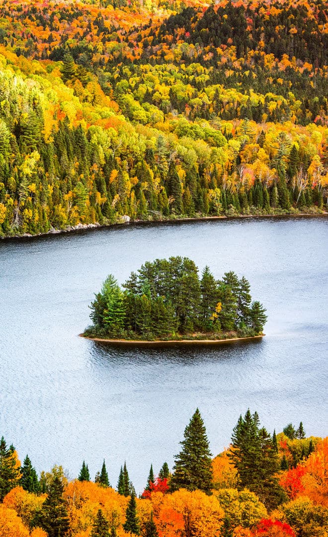 Québec et l'environnement