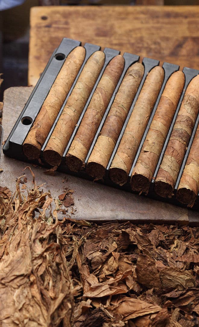 Le festival Procigar