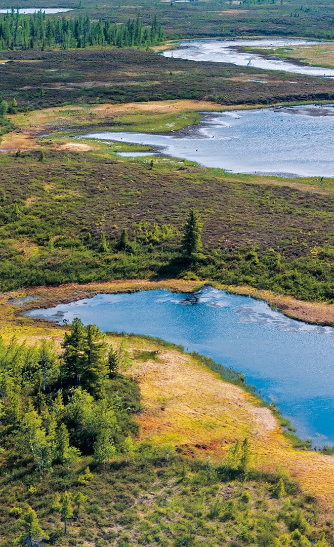 La Russie et l’environnement