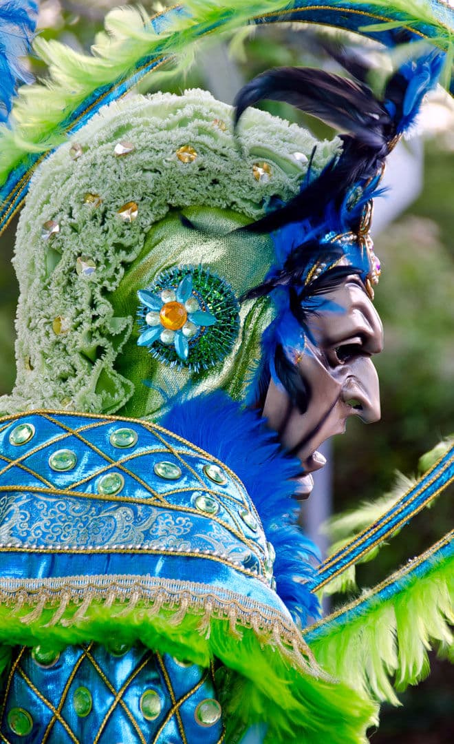 Les évènements à ne pas manquer : Le Carnaval de Gustavi
