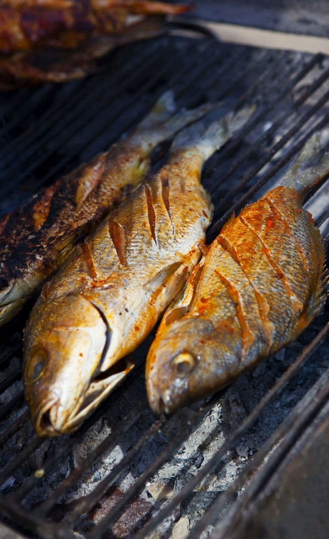 Fish Day
