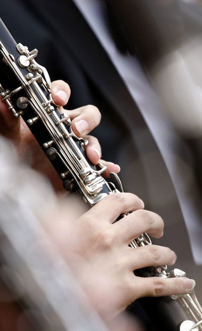 Le Festival Musica sulle Bocche