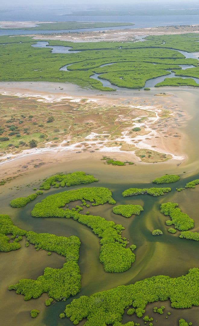 Le Sénégal et l'environnement