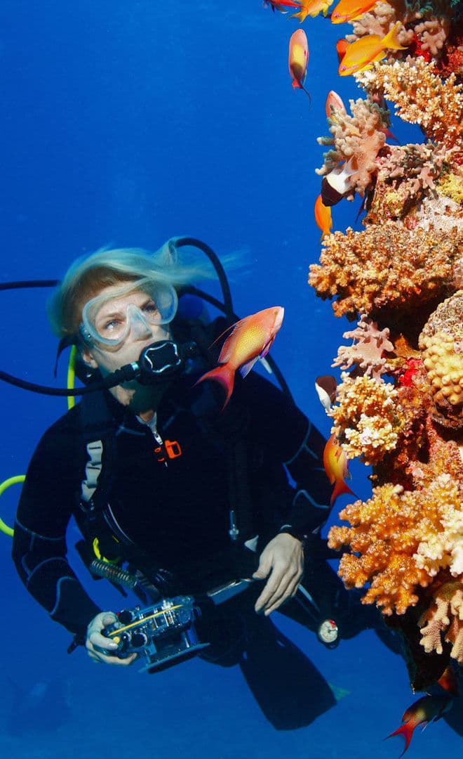 Les évènements à ne pas manquer : Le Seychelles Océan Festival