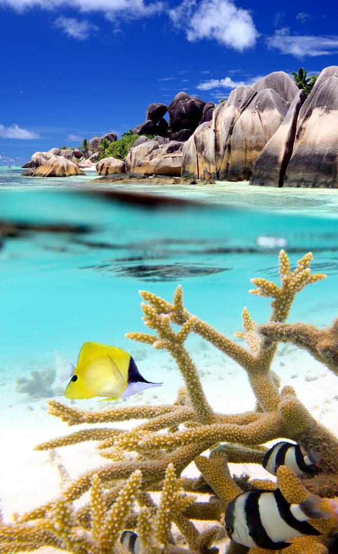 Les Seychelles et l'environnement