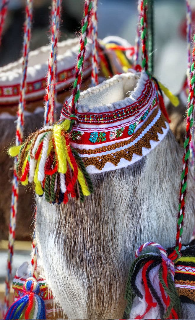 La Fête Nationale Sami
