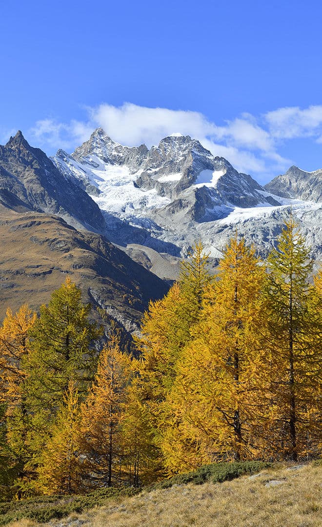 La Suisse et l’environnement