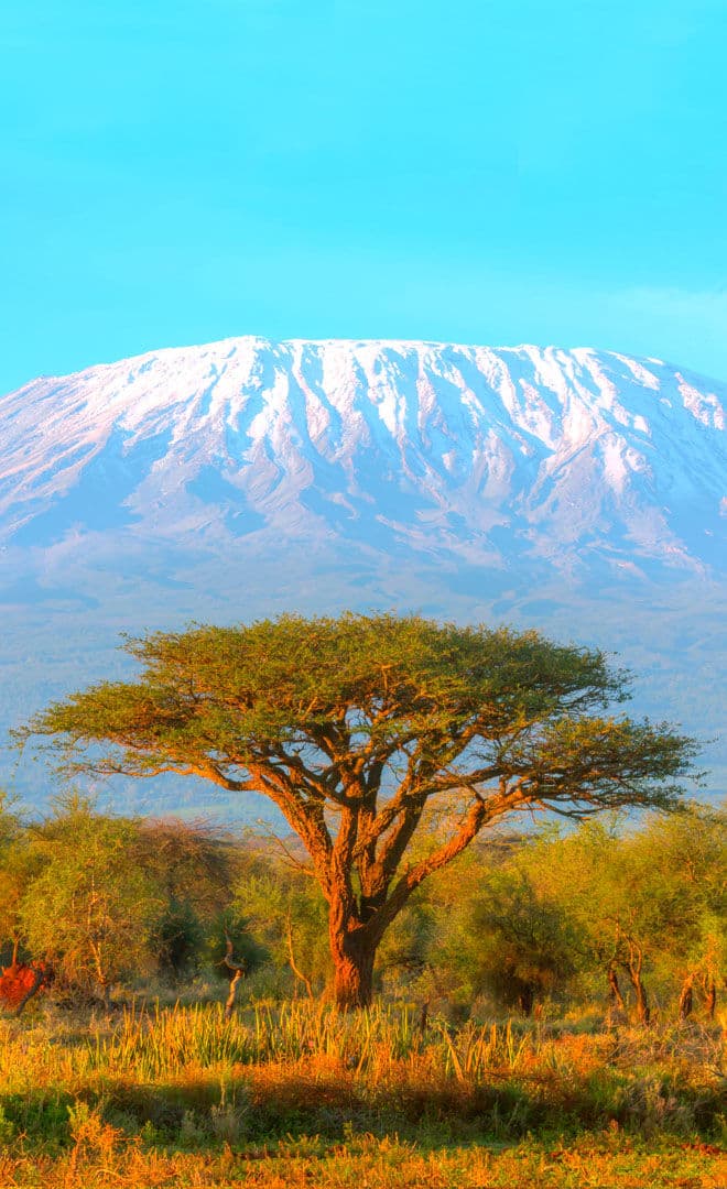 La Tanzanie et l'environnement