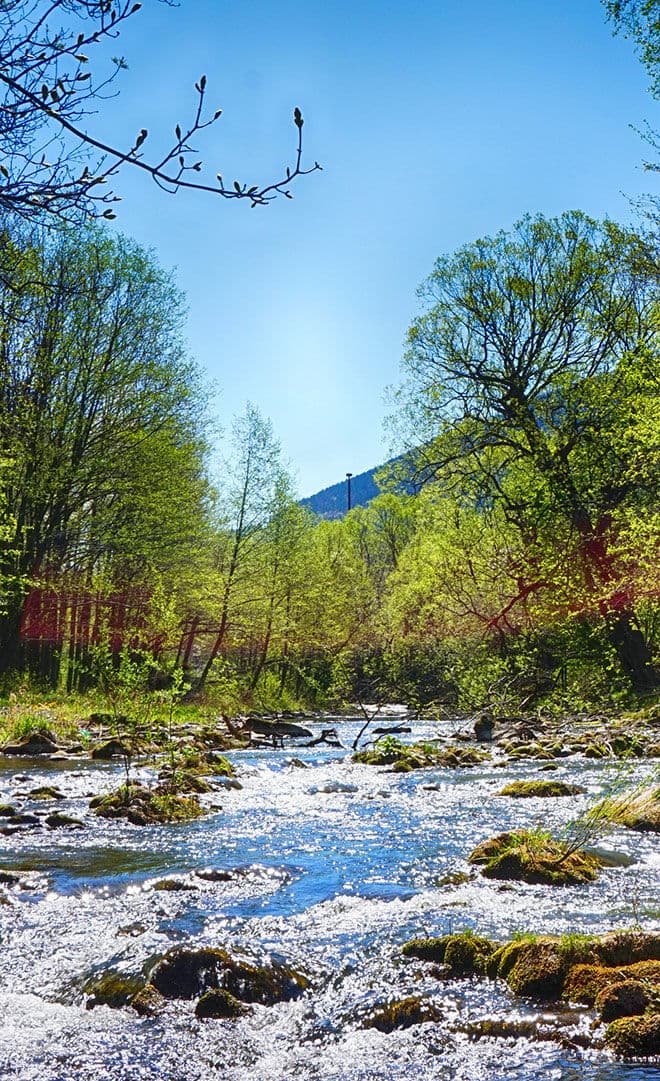 La République Tchèque et l’environnement